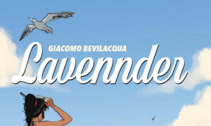 Lavennder bevilacqua