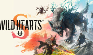 Wild Hearts S - copertina del gioco