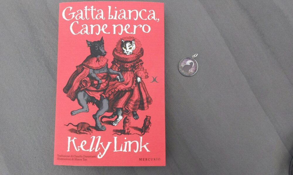 Gatta bianca Cane nero